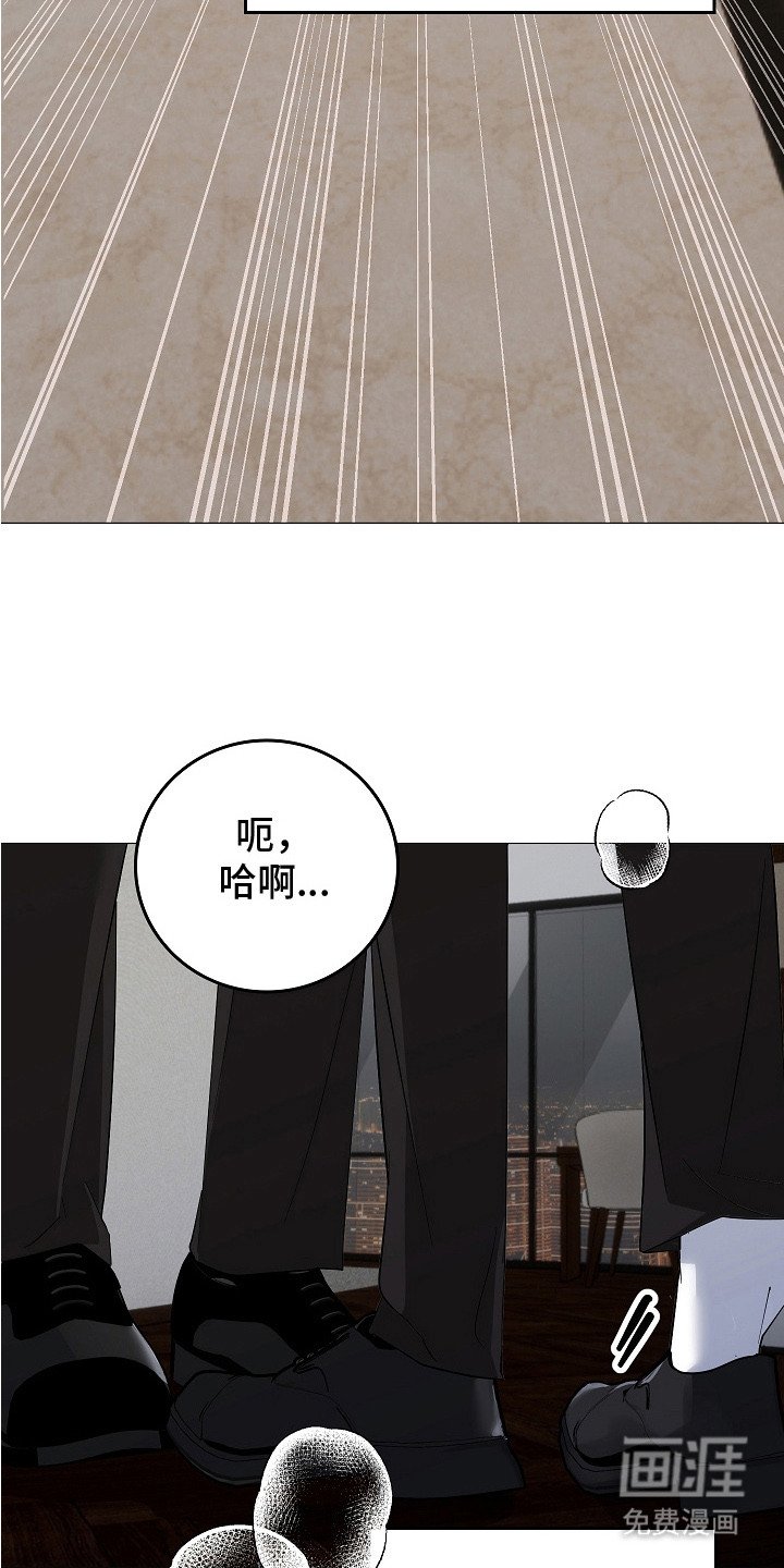 第16章：坦诚相告（完结）