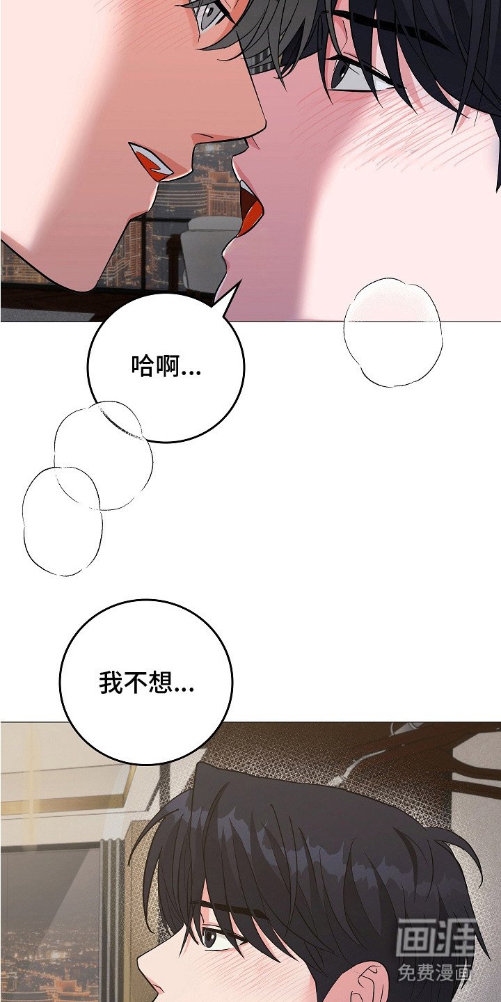 第16章：坦诚相告（完结）