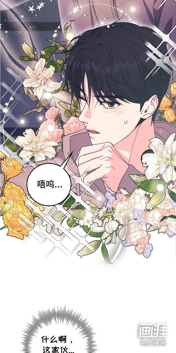 第2章：勇敢一次