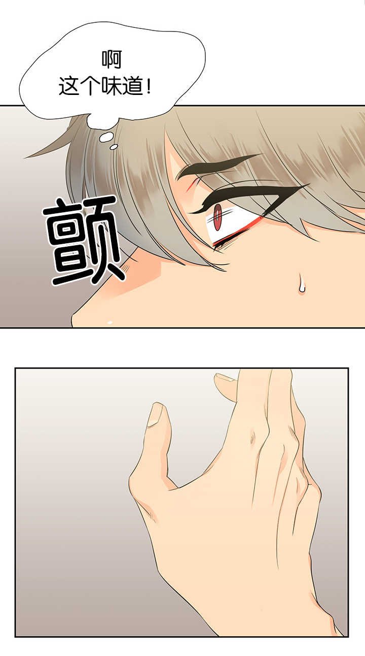 第14章：控制
