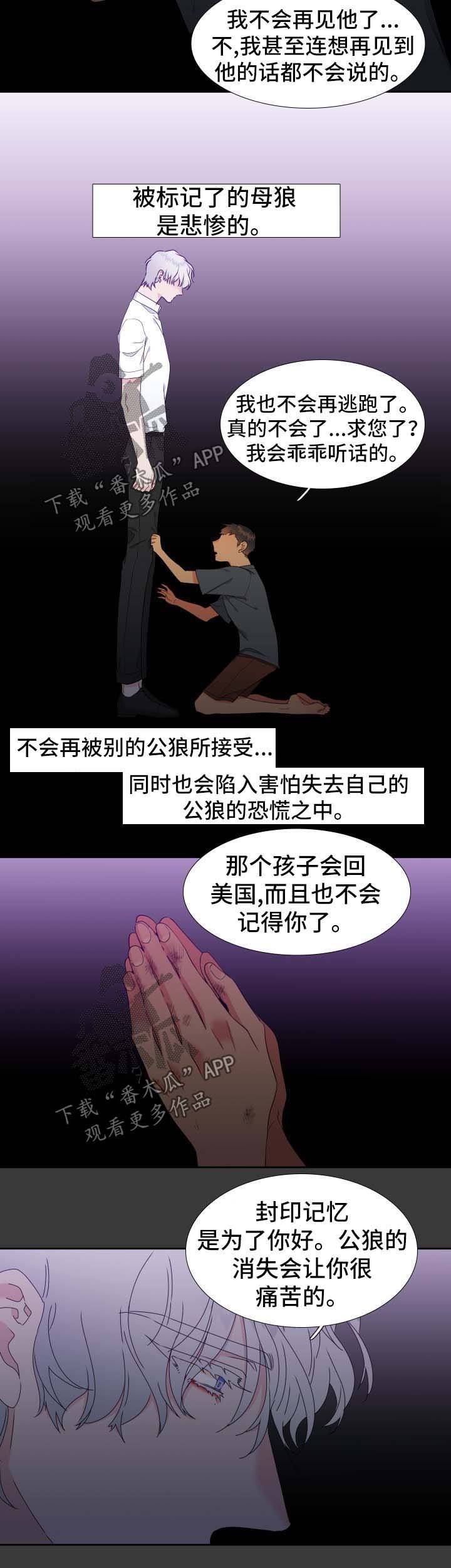第143章：【第二季】捏造记忆