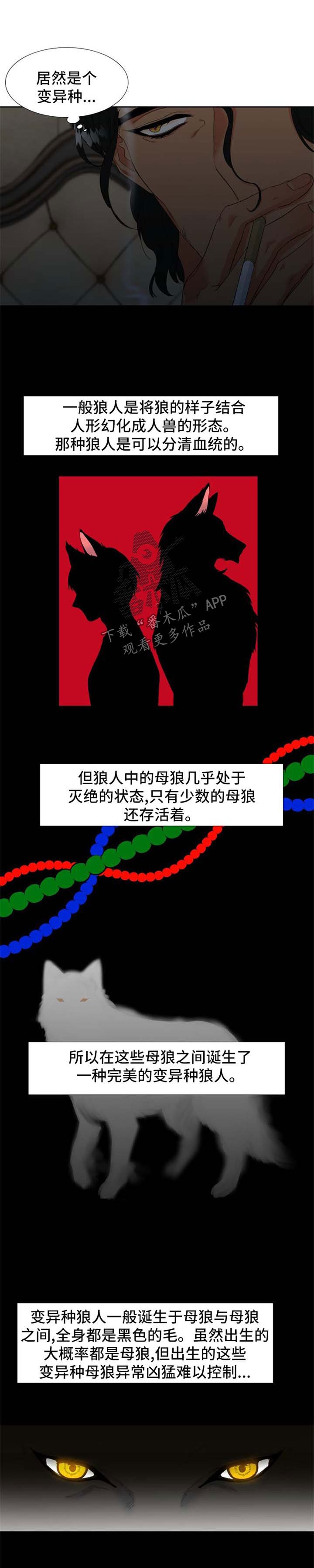第149章：【第二季】MT邀约