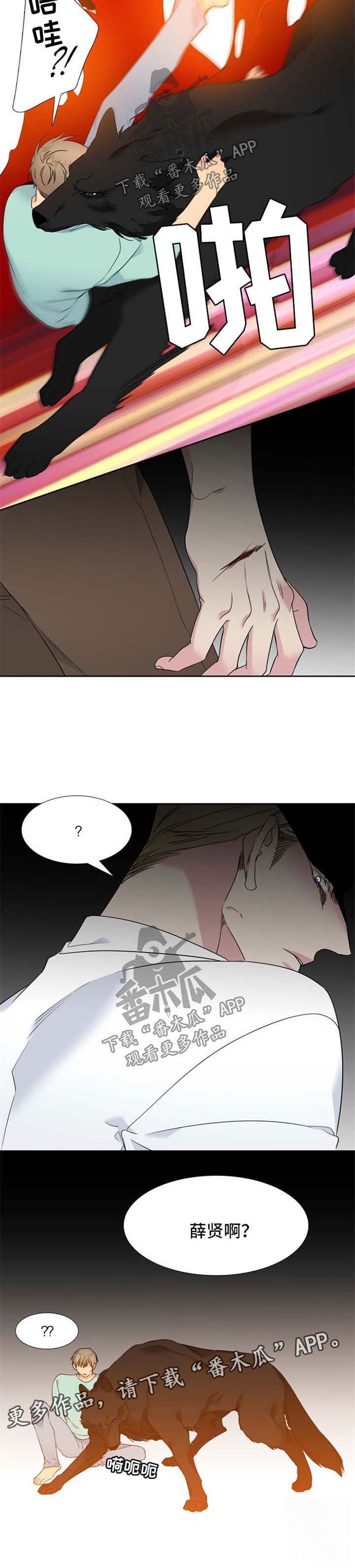 第183章：【第二季】落下风