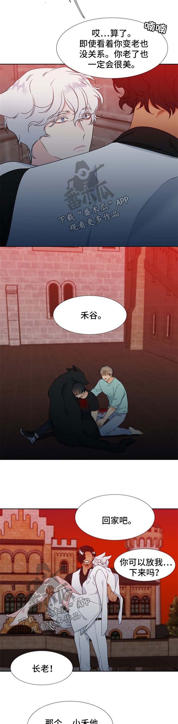 第187章：【第二季】组建一个幸福家庭