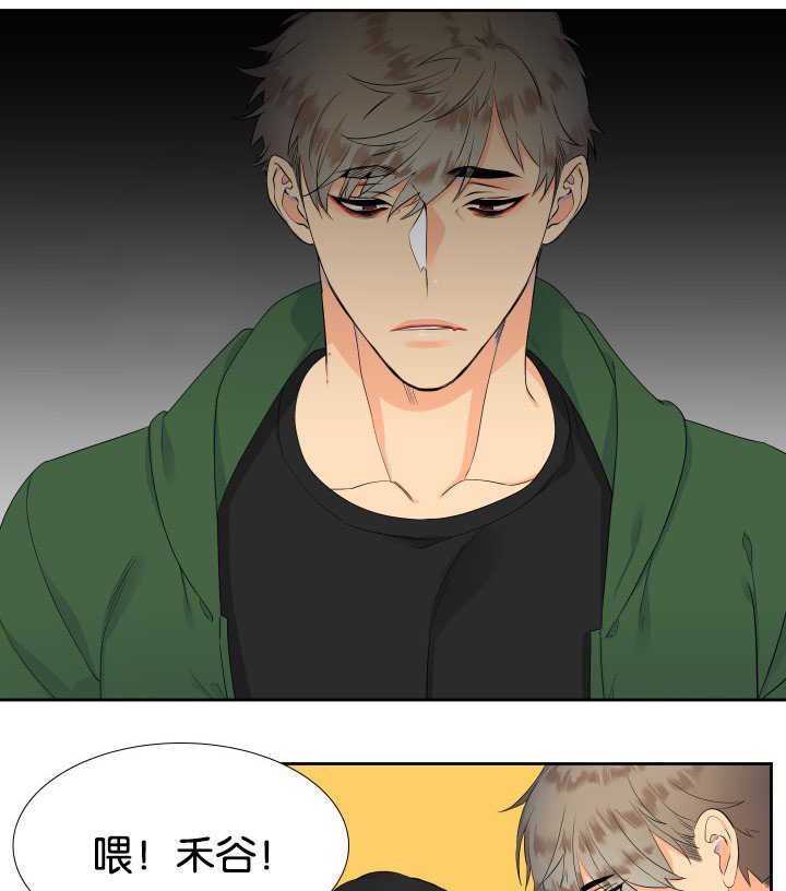 第20章：很般配啊