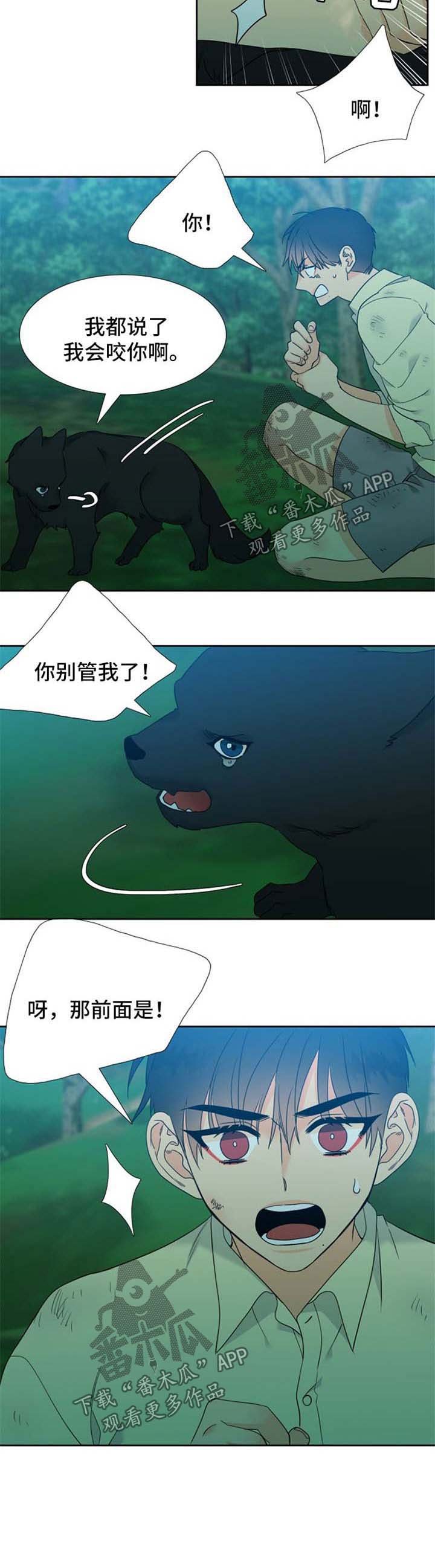 第201章：【第二季】不要过于沉浸