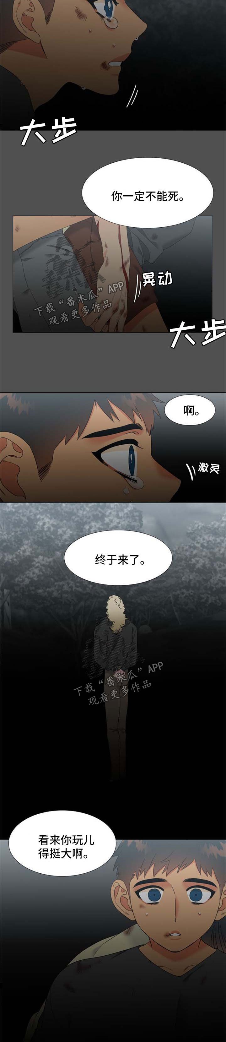 第202章：【第二季】不是我可以觊觎的人