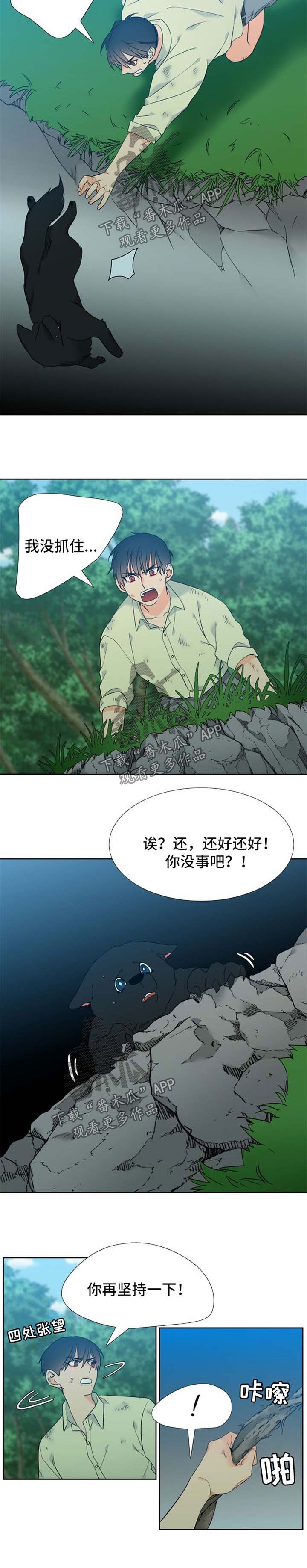 第203章：【第二季】期待重逢