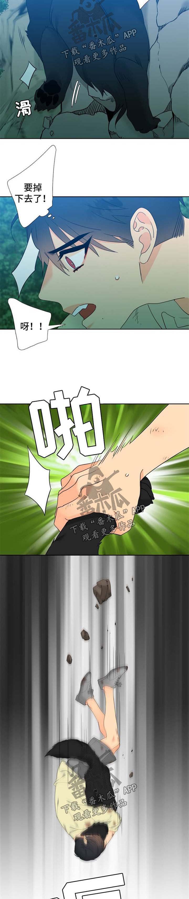第203章：【第二季】期待重逢