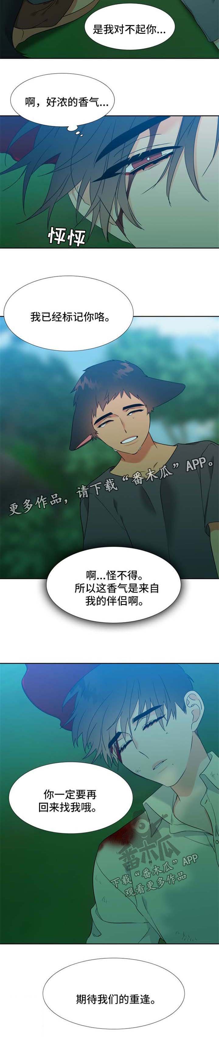 第203章：【第二季】期待重逢