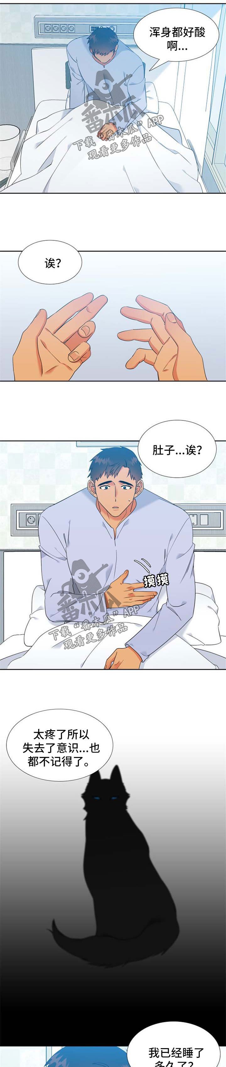 第205章：【第二季】主人格苏醒