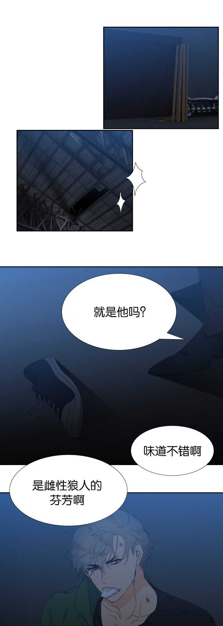 第22章：来试试吧