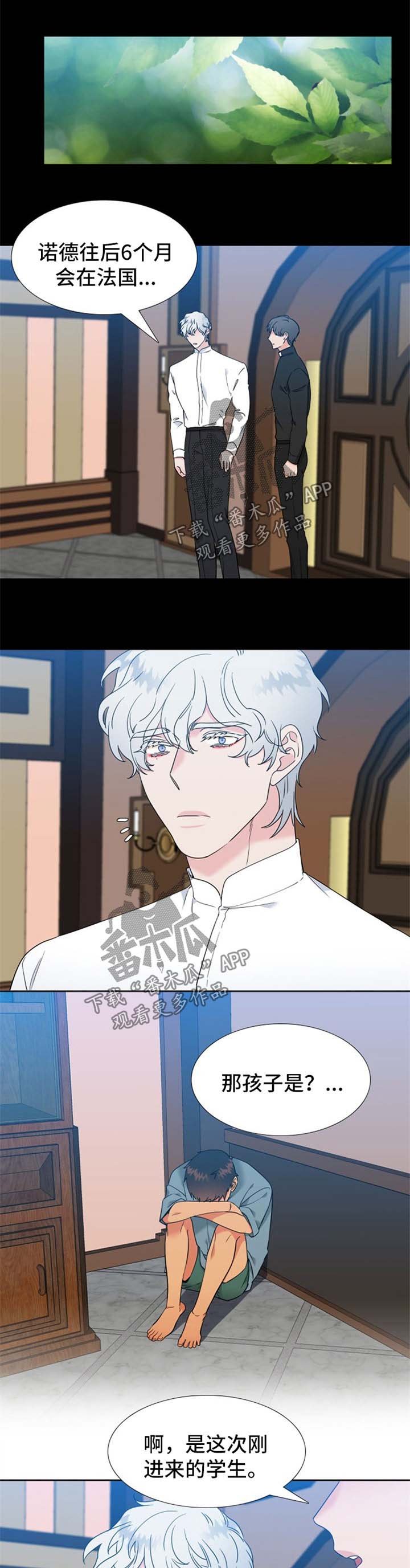 第222章：【第二季】福利
