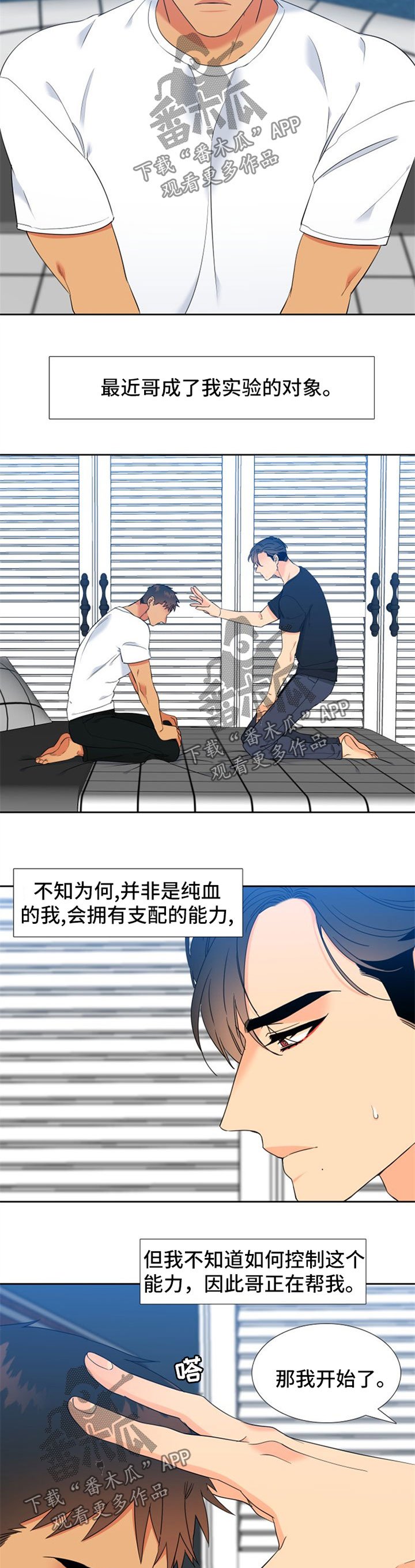 第227章：【第二季】下一任狼族首领