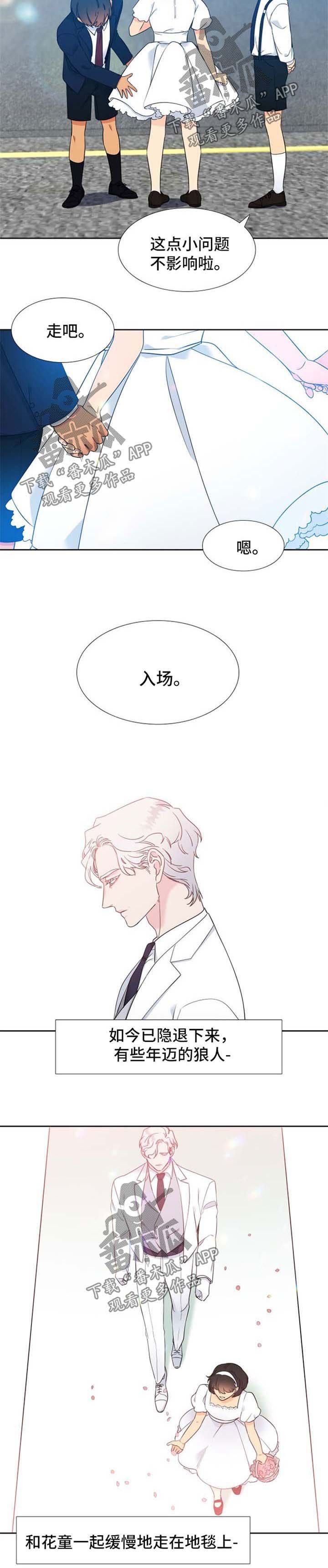 第240章：【第二季】他们的婚礼【完结】
