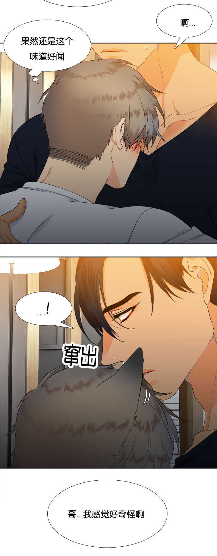 第31章：随心所欲