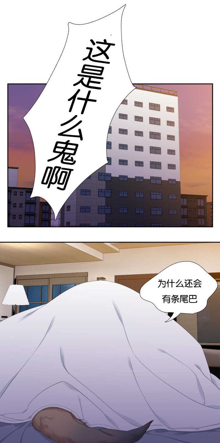 第31章：随心所欲