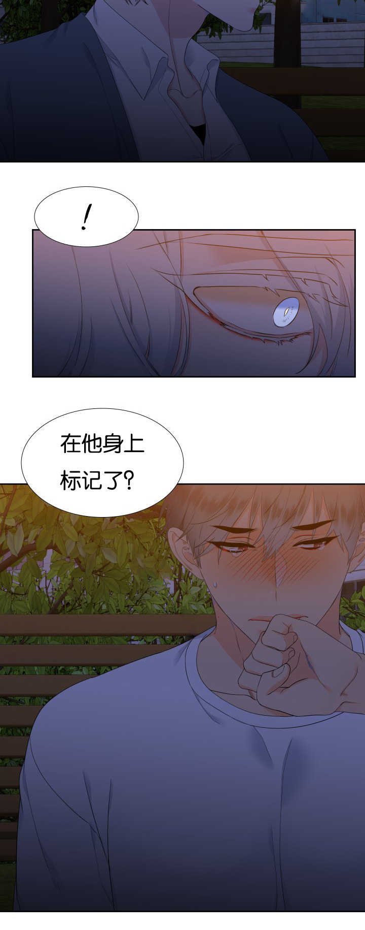 第39章：宣示主权