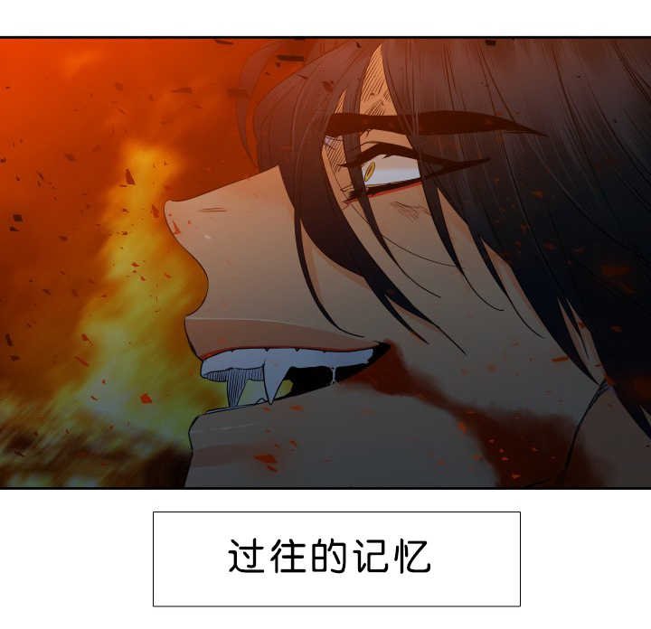 第46章：更加了解