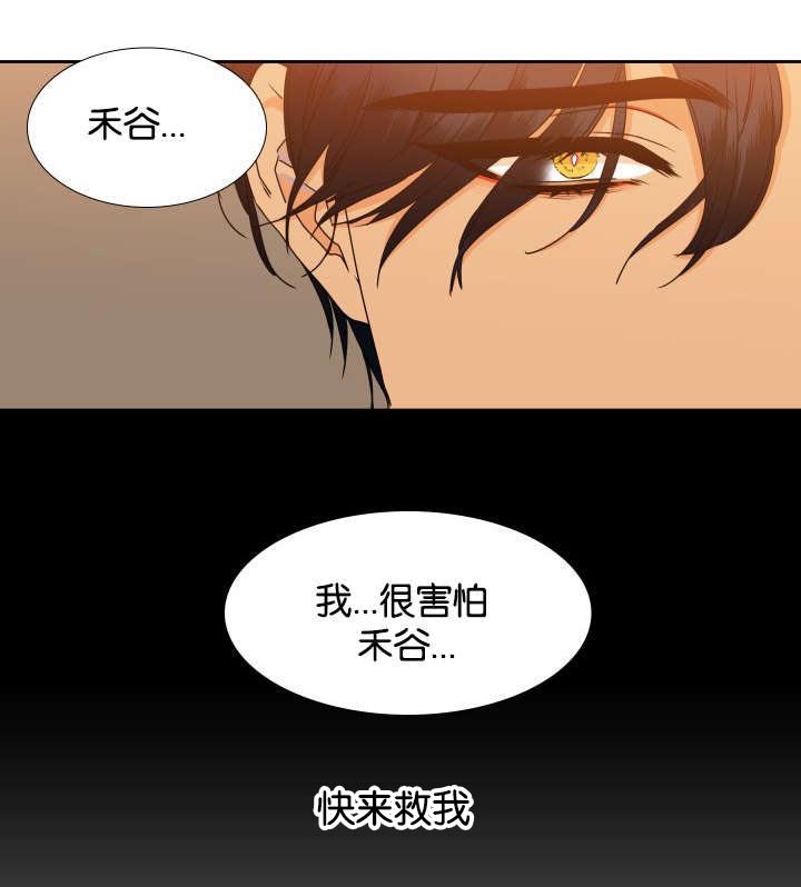 第77章：快来救我