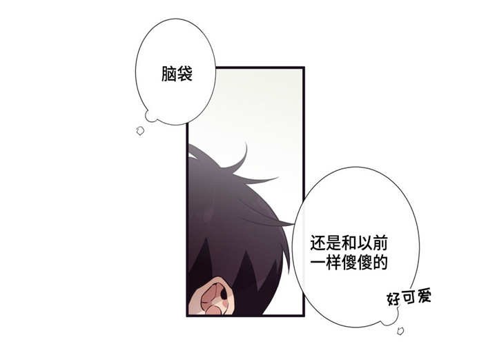 第12章：太冲动了