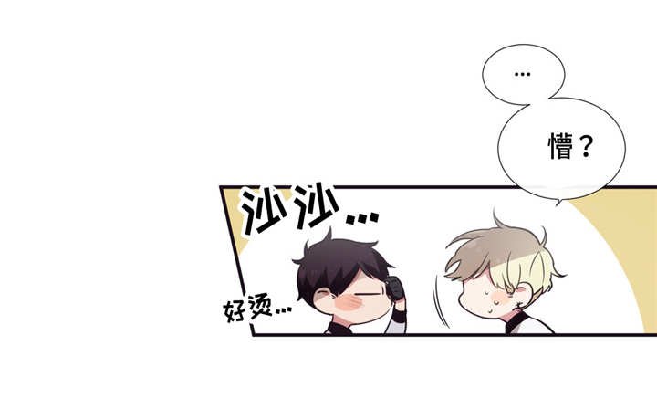 第13章：发烧
