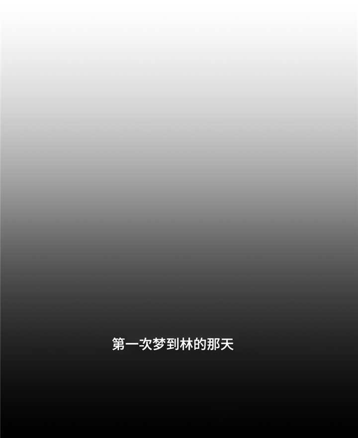 第43章：干了什么