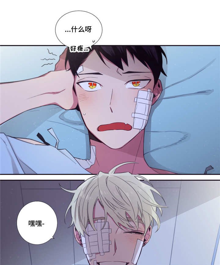 第48章：我喜欢你