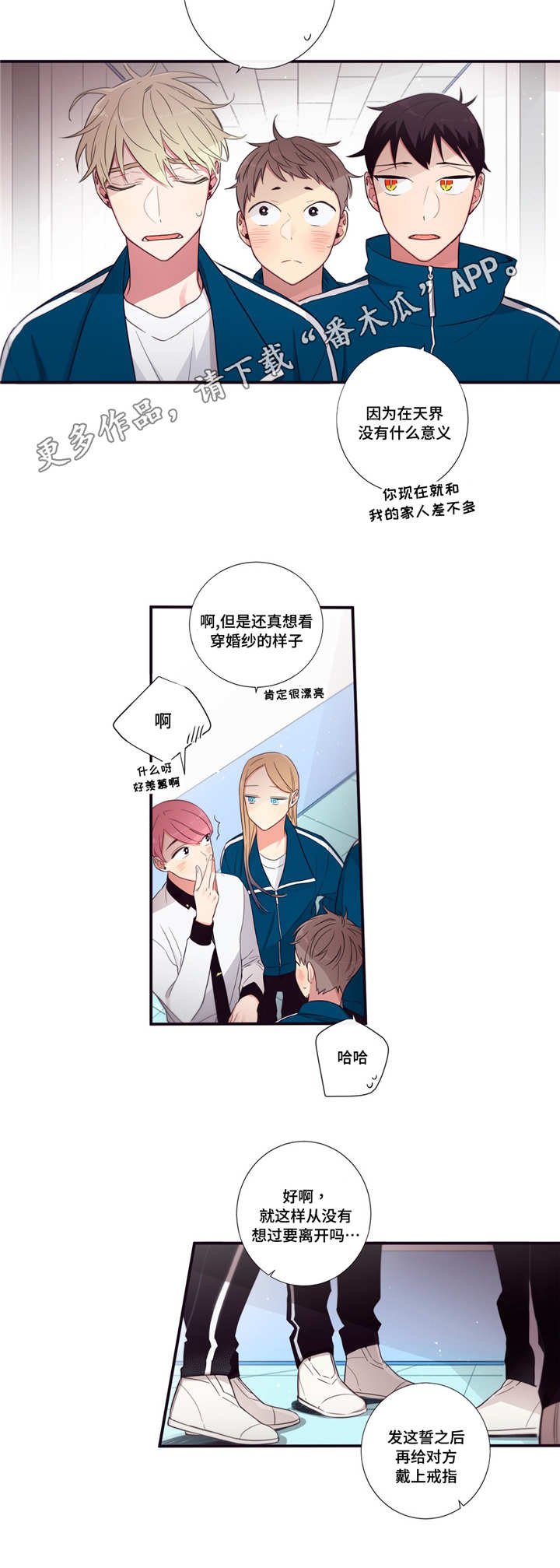 第70章：调查
