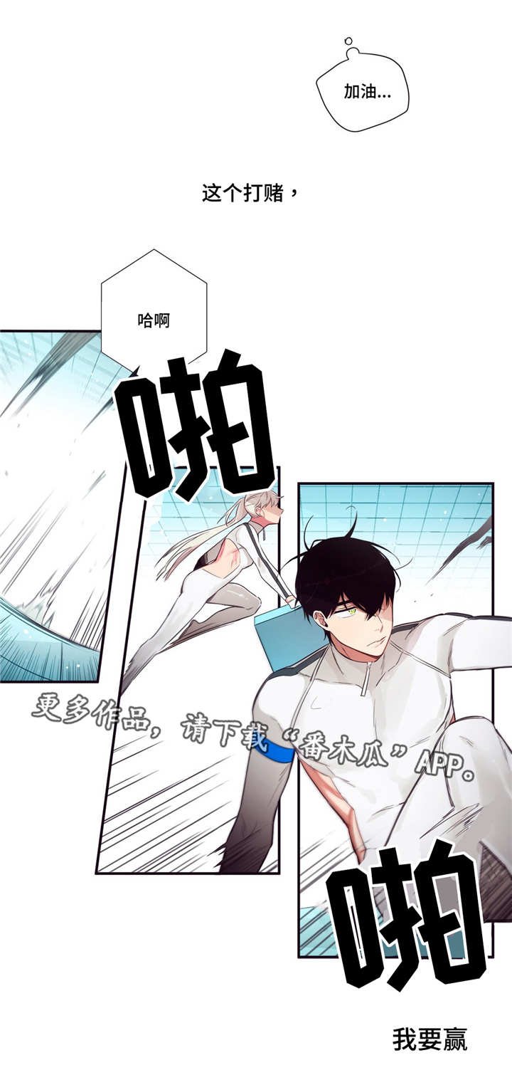 第81章：正面对决