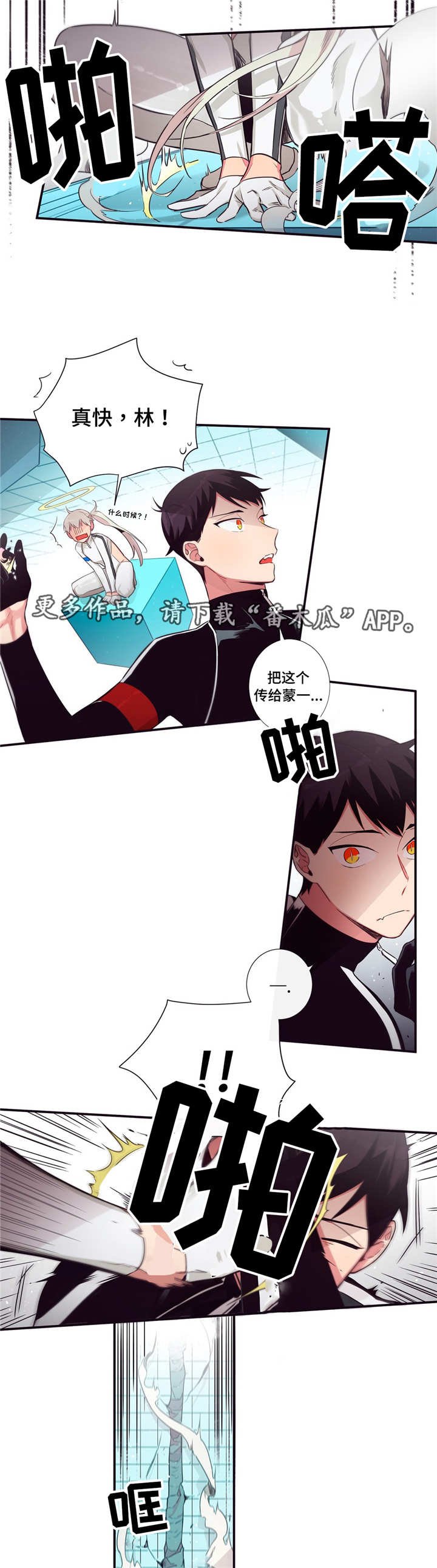 第81章：正面对决