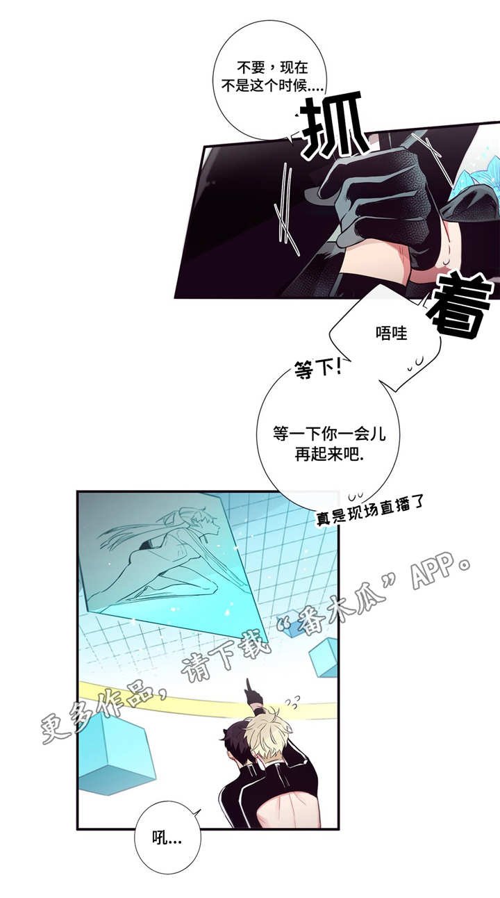 第81章：正面对决