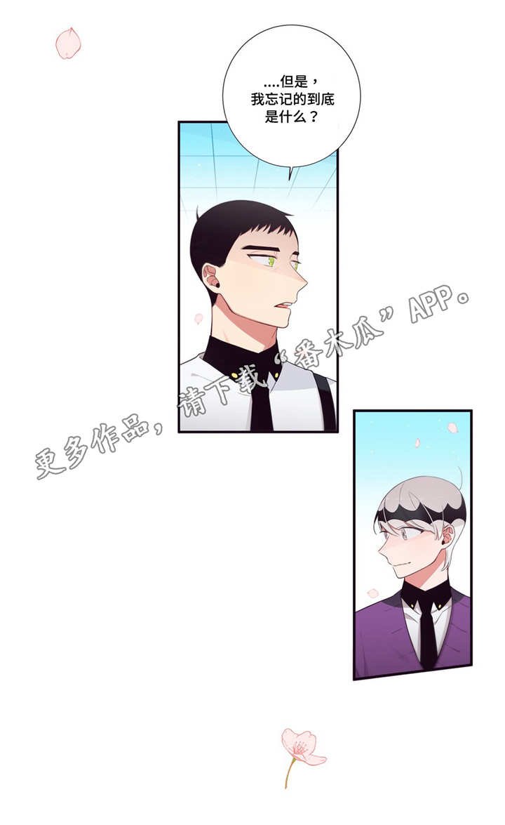 第98章：幸福
