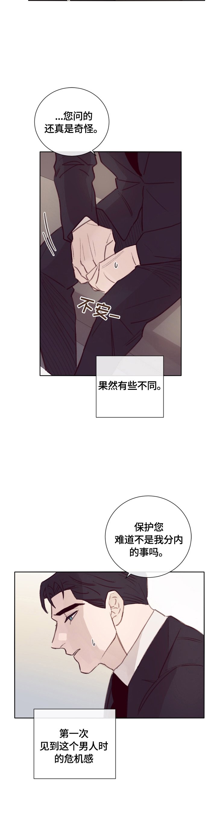 第13章：私人保镖