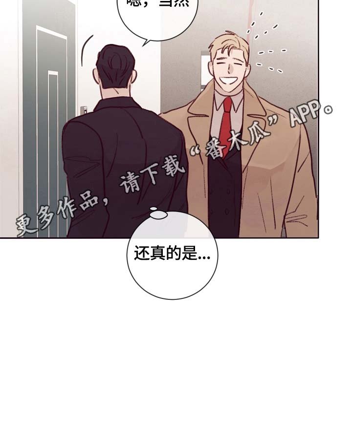第17章：期待