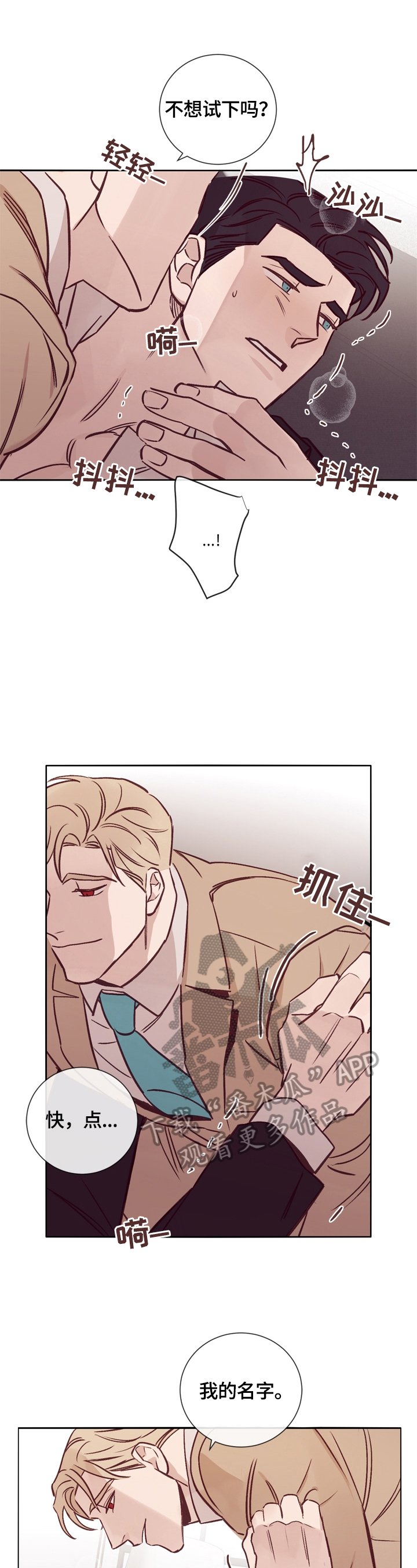第28章：照片