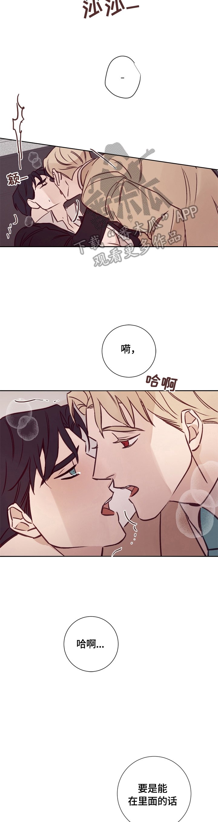 第28章：照片