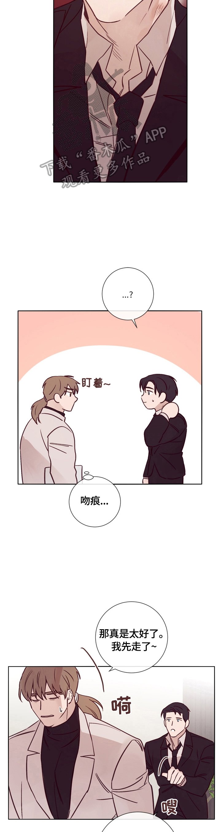 第28章：照片