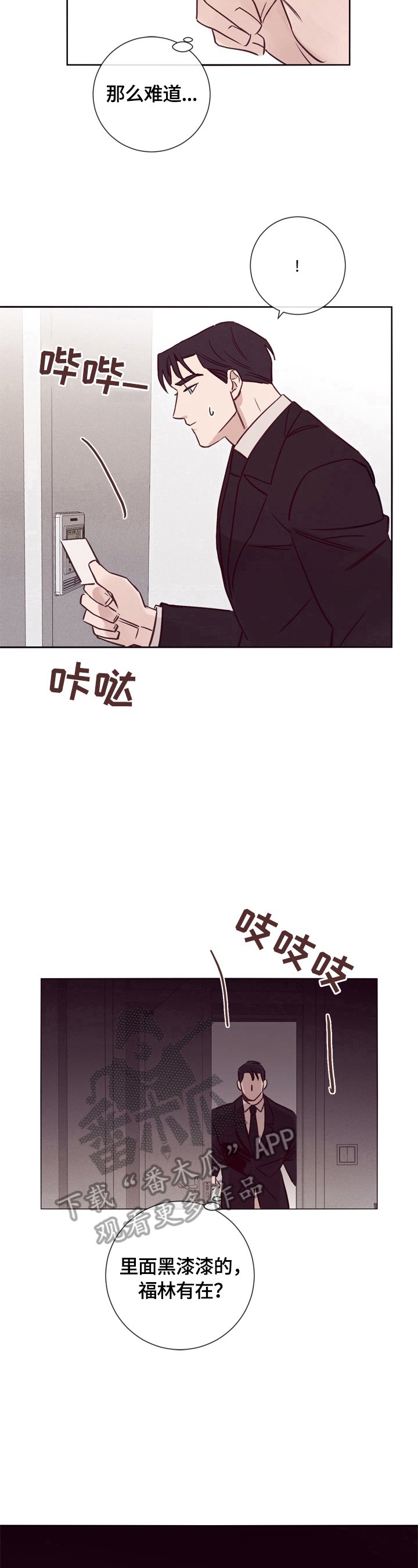 第28章：照片