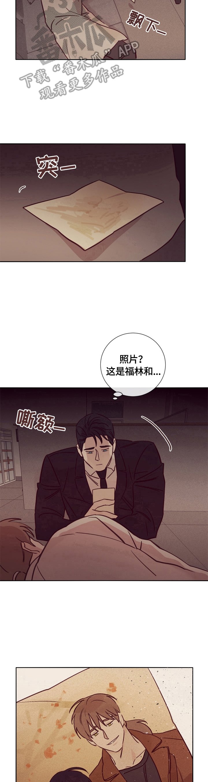 第28章：照片