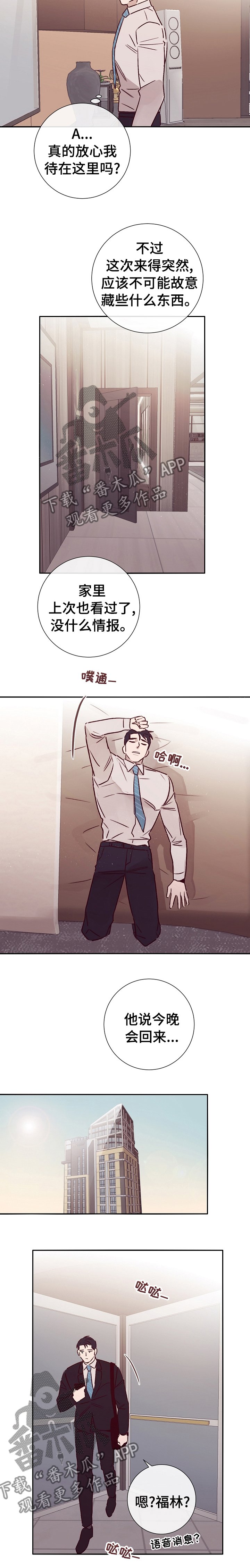 第47章：上岛