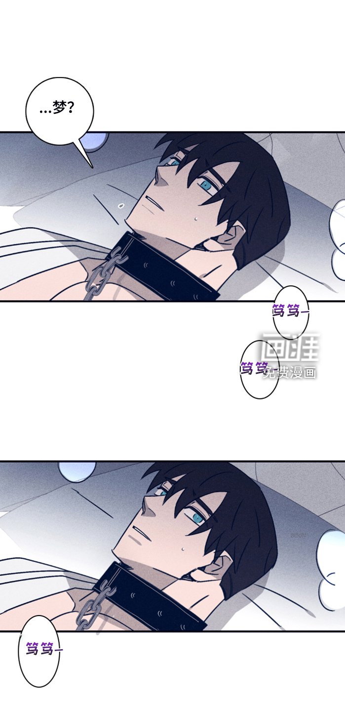 第85章：【第二季】不寻常的梦