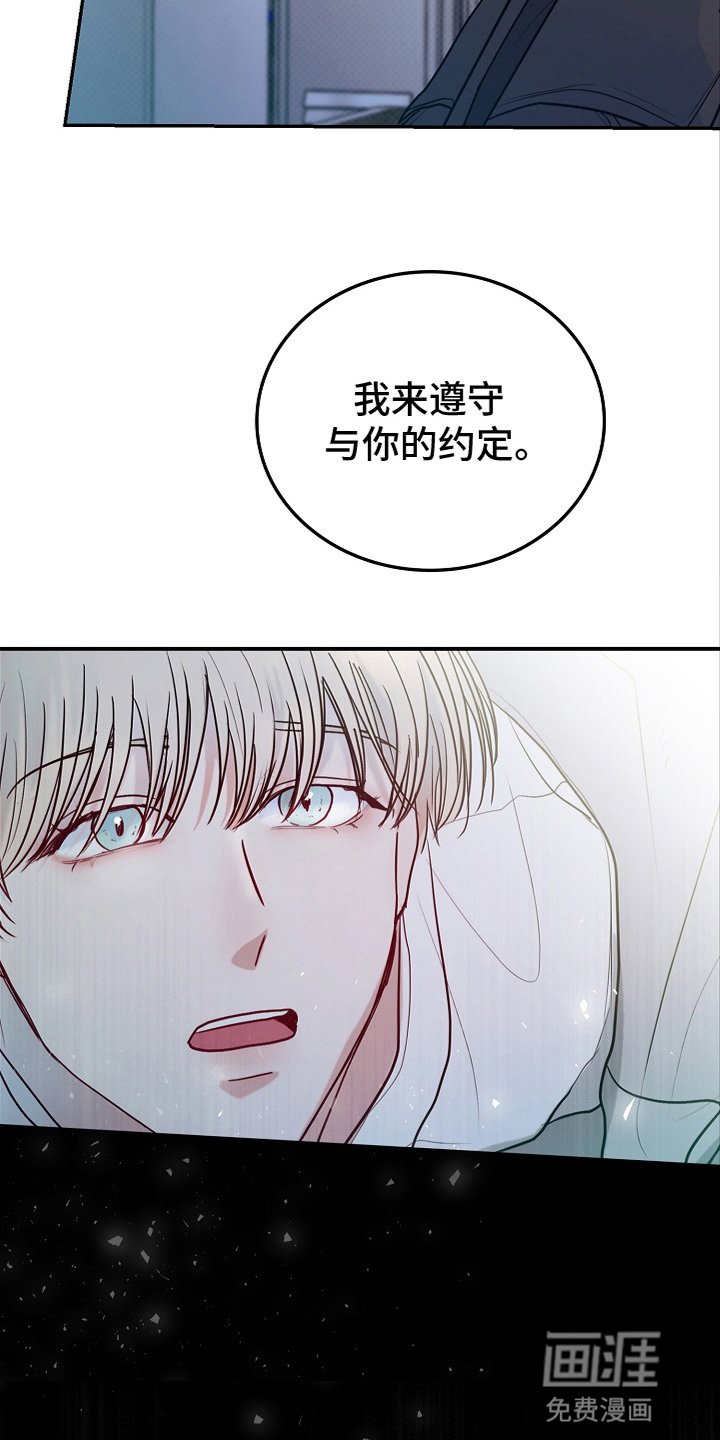 第3章：出手