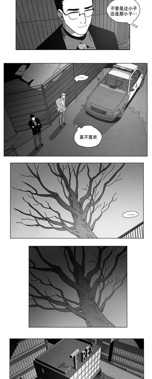 第14章：条件