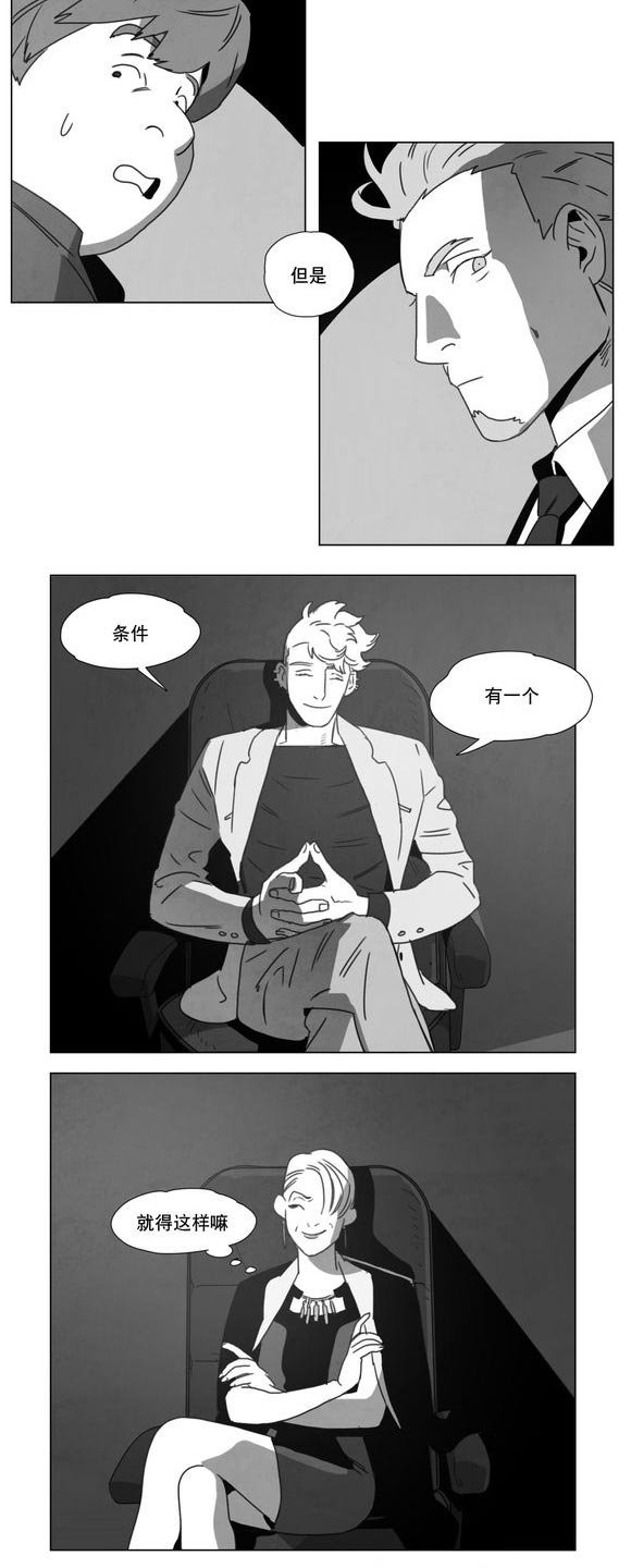 第14章：条件