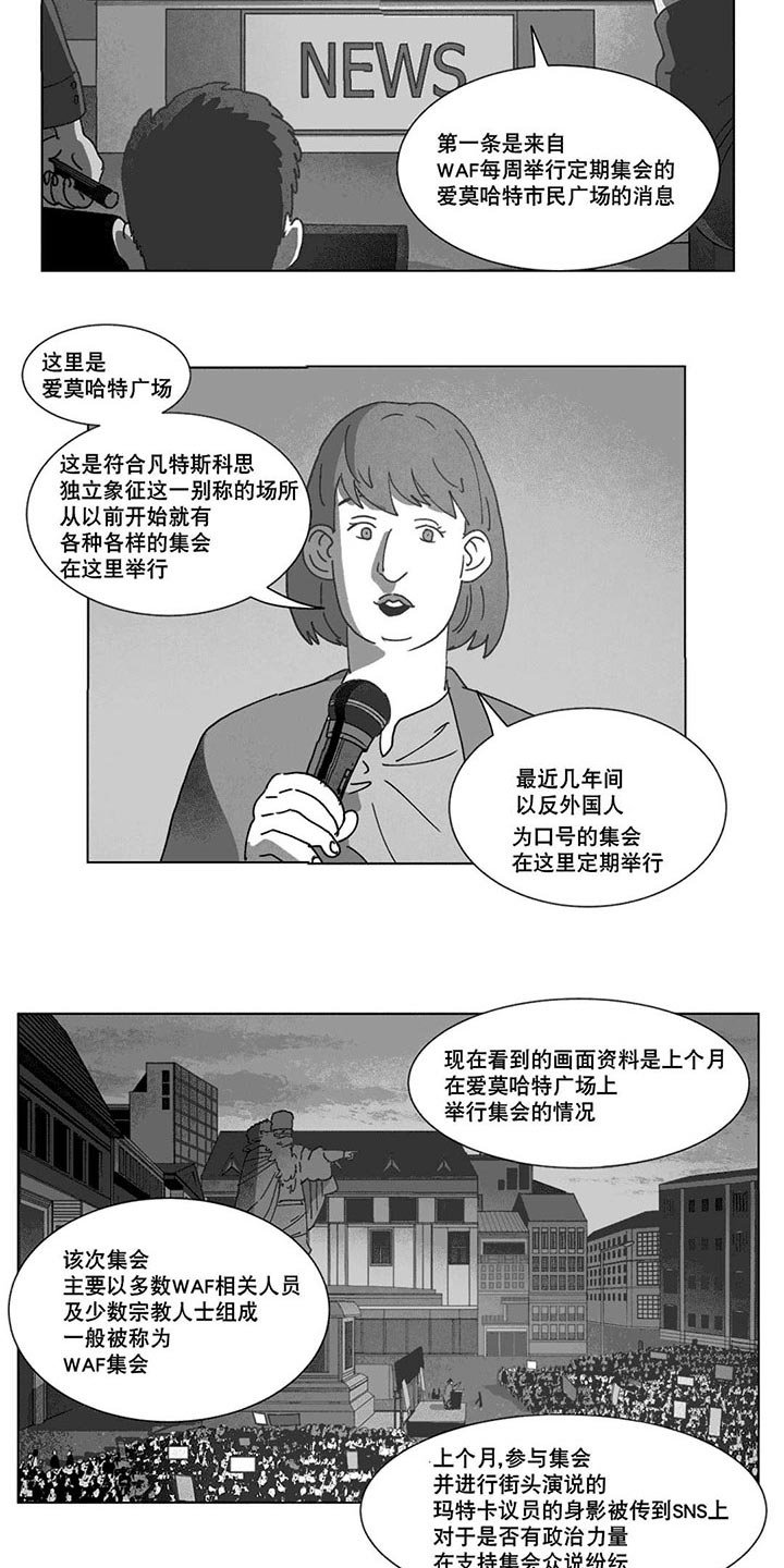第20章：替代品