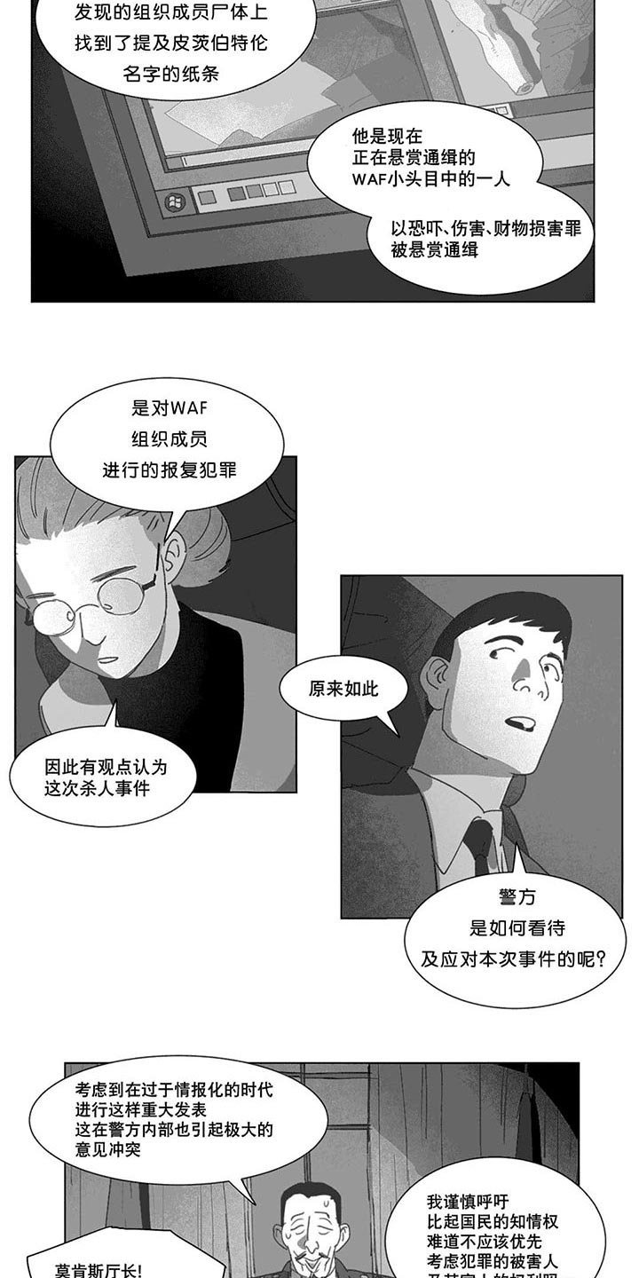 第20章：替代品