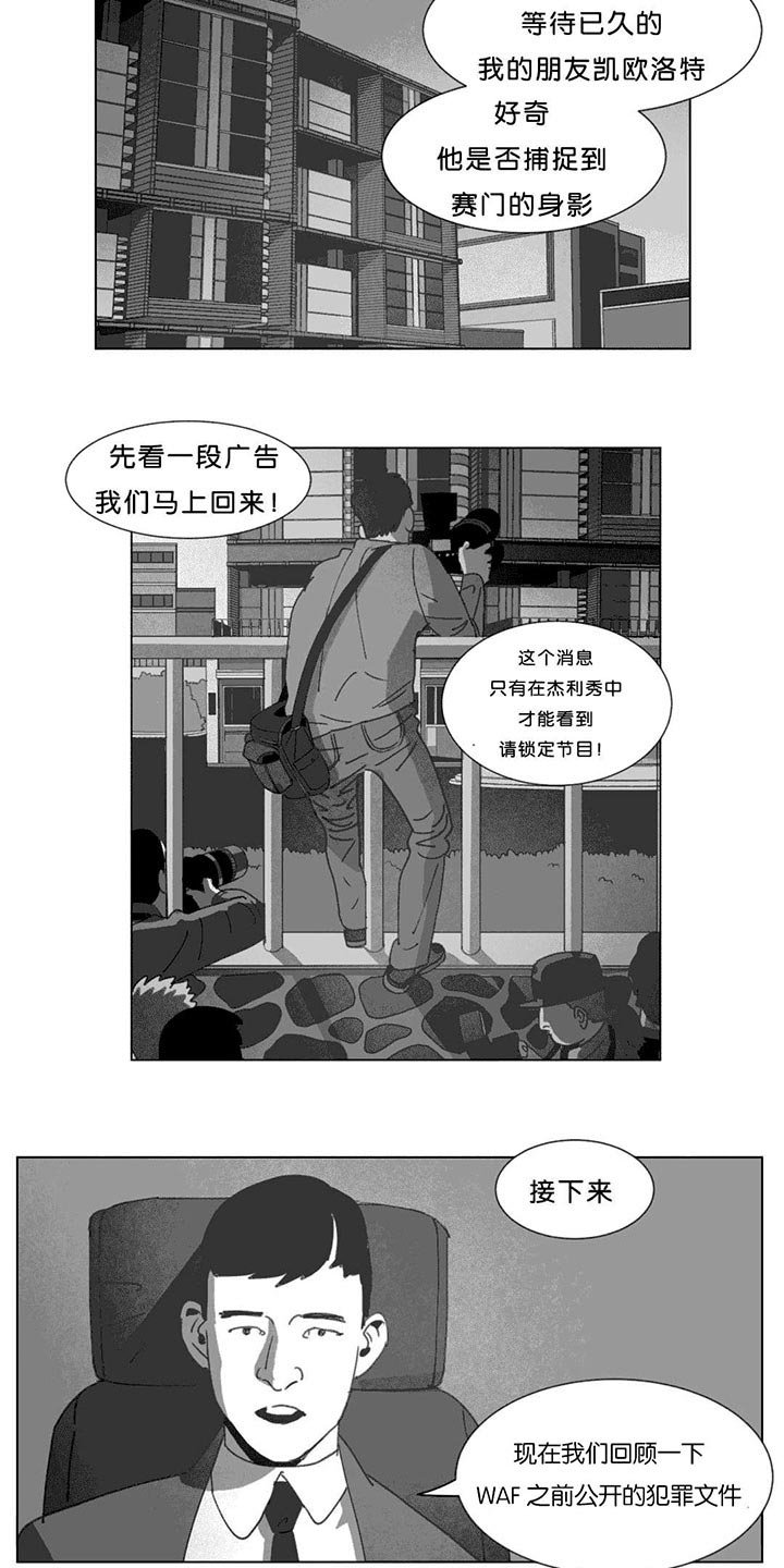 第20章：替代品