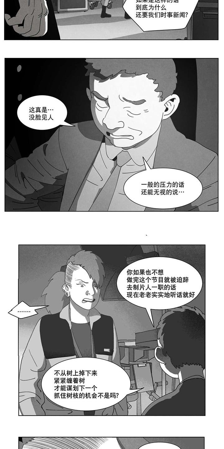 第20章：替代品