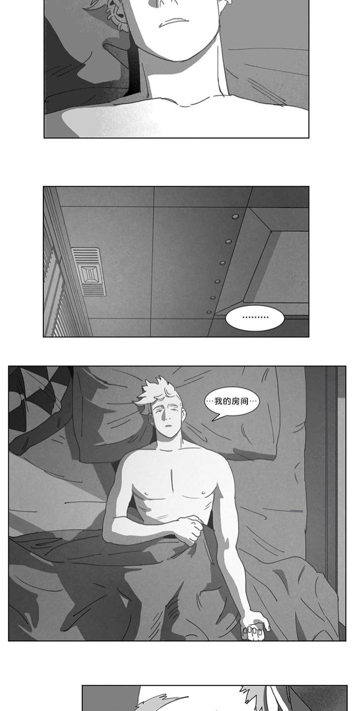 第20章：替代品